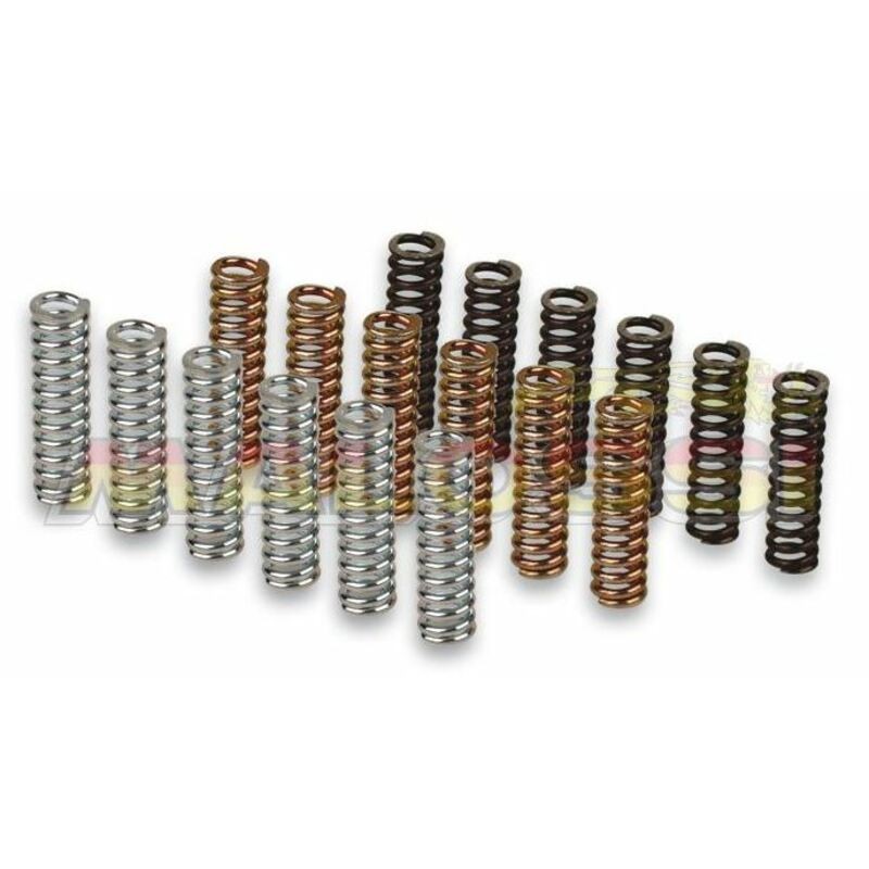 Kit de muelles de embrague MALOSSI Racing Yamaha T-MAX 530 12-15 2915602 - motoscamaralweb.com Kit de muelles de embrague MALOSSI Racing Yamaha T-MAX 530 12-15 2915602 - motoscamaralweb.com