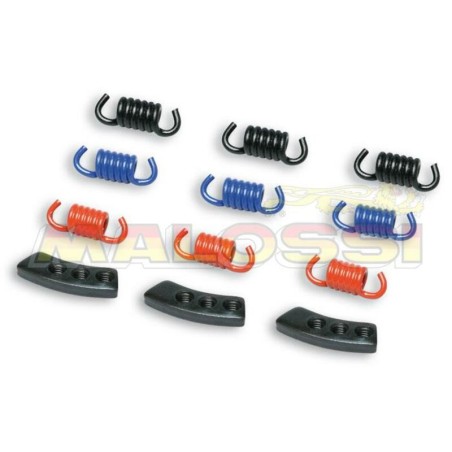 Kit de muelles de embrague MALOSSI MHR para embrague Delta y Fly Clutch - motoscamaralweb.com
