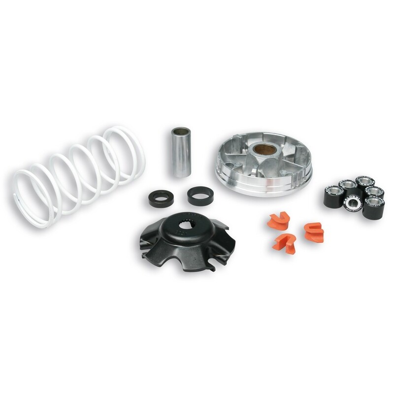 Variador Multivar Malossi PIAGGIO 50CC 2T&4T ZIP/FLY/LIBERTY 50 4T 51 Variador Multivar Malossi PIAGGIO 50CC 2T&4T ZIP/FLY/LIBERTY 50 4T 51