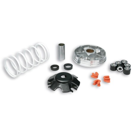 Variador Multivar Malossi PIAGGIO 50CC 2T&amp;4T ZIP/FLY/LIBERTY 50 4T 51