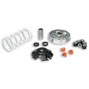 Variador Multivar Malossi PIAGGIO 50CC 2T&amp;4T ZIP/FLY/LIBERTY 50 4T 51