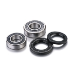 Kit de rodamientos de rueda FACTORY LINKS - motoscamaralweb.com