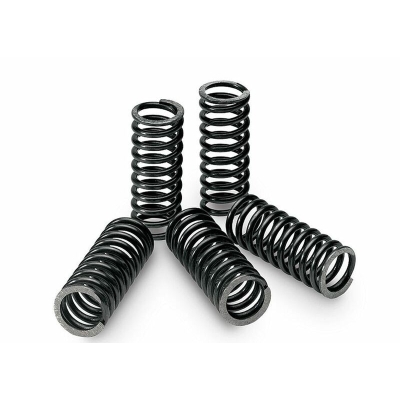 Kit de muelles de embrague TECNIUM - motoscamaralweb.com
