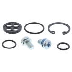 Kit reparación grifo de gasolina ALL BALLS - motoscamaralweb.com
