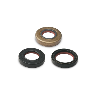 Retén de aceite MALOSSI para revisión de moto 50cc - motoscamaralweb.com