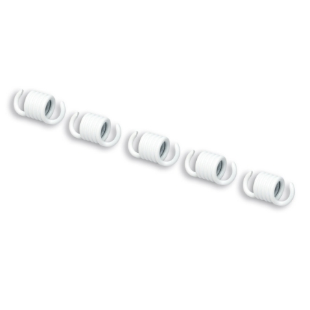 Muelle de embrague MALOSSI 2.2mm - juego de 5 - motoscamaralweb.com