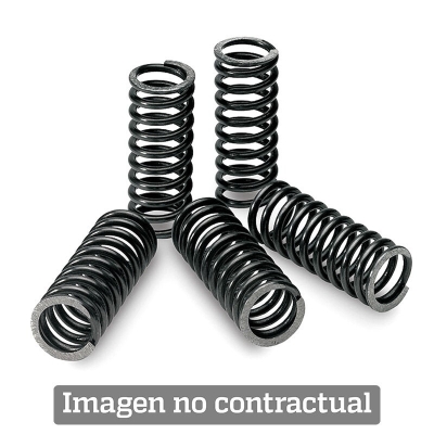 Kit de muelles de embrague TECNIUM - motoscamaralweb.com