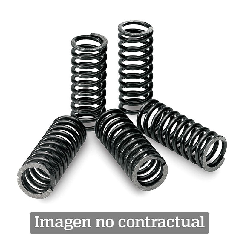 Kit de muelles de embrague TECNIUM - motoscamaralweb.com Kit de muelles de embrague TECNIUM - motoscamaralweb.com