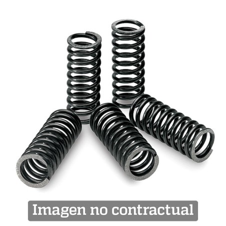Kit de muelles de embrague TECNIUM - motoscamaralweb.com
