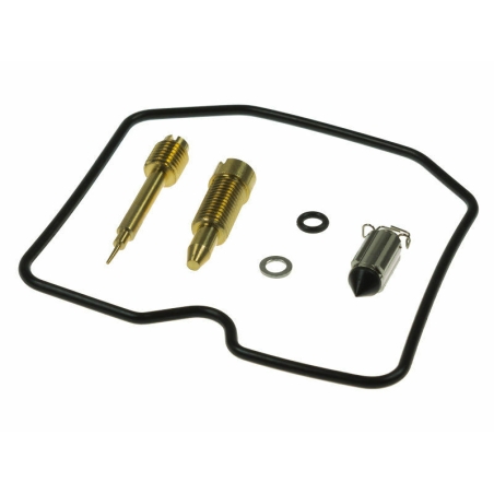 Kit reparación carburador TOURMAX - motoscamaralweb.com