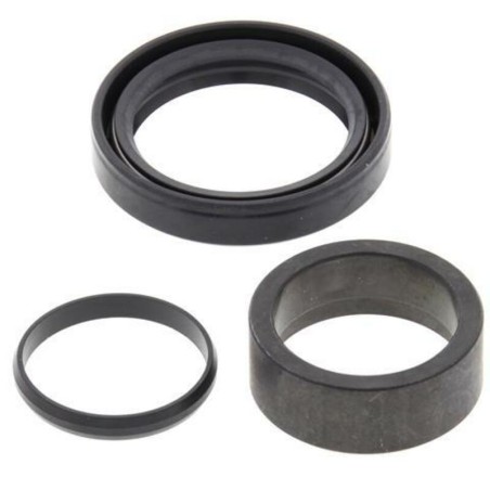 Kit de reparacion piñon de salida ALL BALLS 25-4009 - motoscamaralweb.com