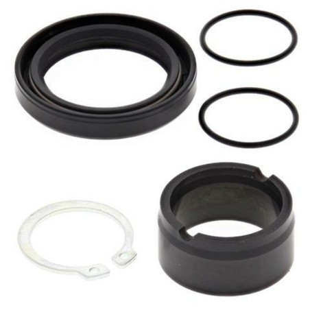 Kit de reparación piñón de salida ALL BALLS - Kawasaki KLX250R/300R - motoscamaralweb.com