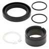 Kit de reparación piñón de salida ALL BALLS - Kawasaki KLX250R/300R - motoscamaralweb.com