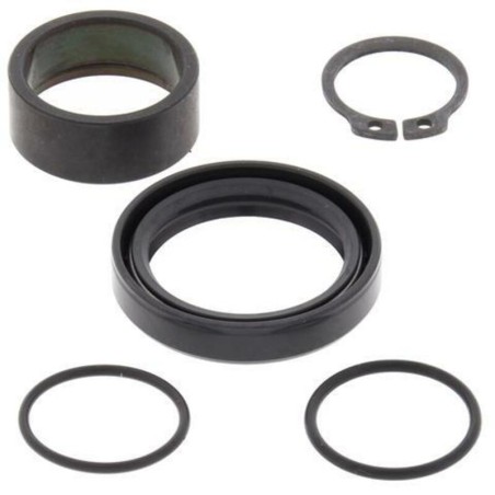 Kit de reparacion piñon de salida ALL BALLS 25-4016 - motoscamaralweb.com