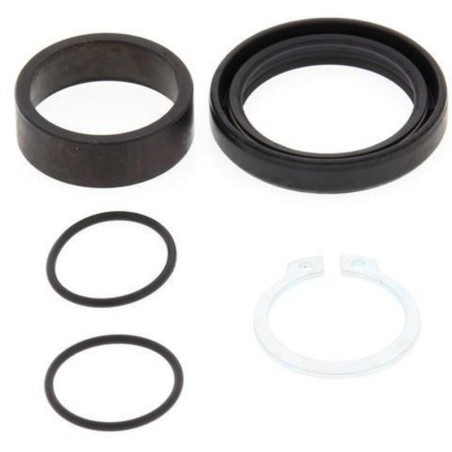 Kit de reparacion piñon de salida ALL BALLS 25-4015 - motoscamaralweb.com