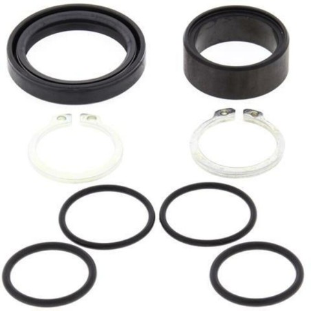 Kit de reparacion piñon de salida ALL BALLS 25-4004 - motoscamaralweb.com