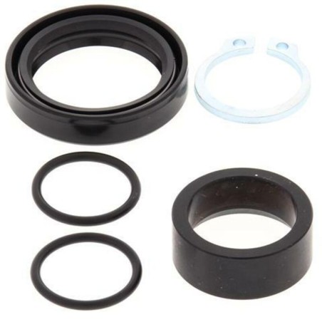 Kit de reparacion piñon de salida ALL BALLS 25-4007 - motoscamaralweb.com