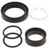 Kit de reparacion piñon de salida ALL BALLS 25-4006 - motoscamaralweb.com