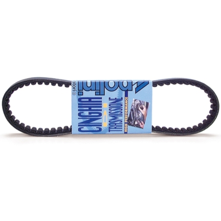 Correa de transmision POLINI standard - motoscamaralweb.com