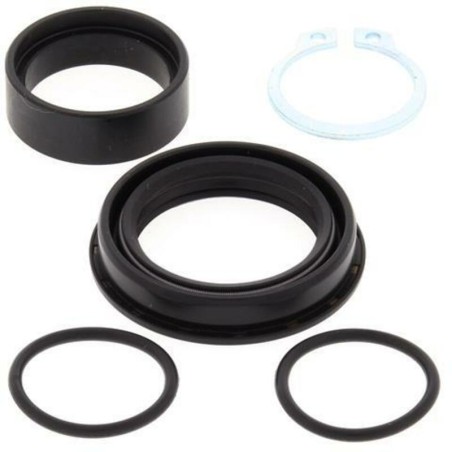 Kit de reparacion piñon de salida ALL BALLS 25-4028 - motoscamaralweb.com