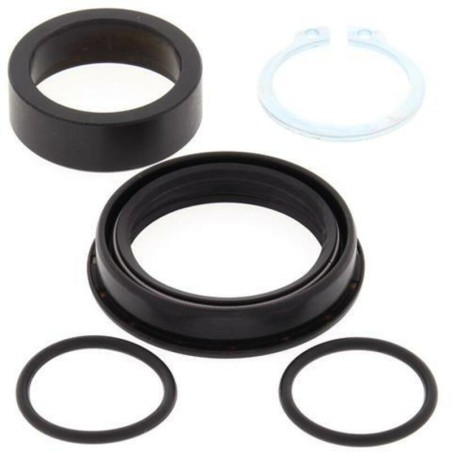 Kit de reparacion piñon de salida ALL BALLS 25-4030 - motoscamaralweb.com