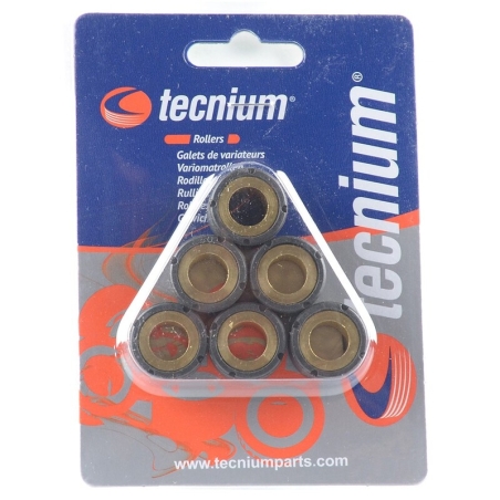 Rodillos de variador TECNIUM 19x13.5mm 12gr - 6 piezas - motoscamaralweb.com