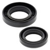 Kit de retenes de cigüeñal ALL BALLS - motoscamaralweb.com