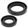 Kit de retenes de cigüeñal ALL BALLS - motoscamaralweb.com