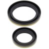 Kit de retenes de cigüeñal ALL BALLS - motoscamaralweb.com
