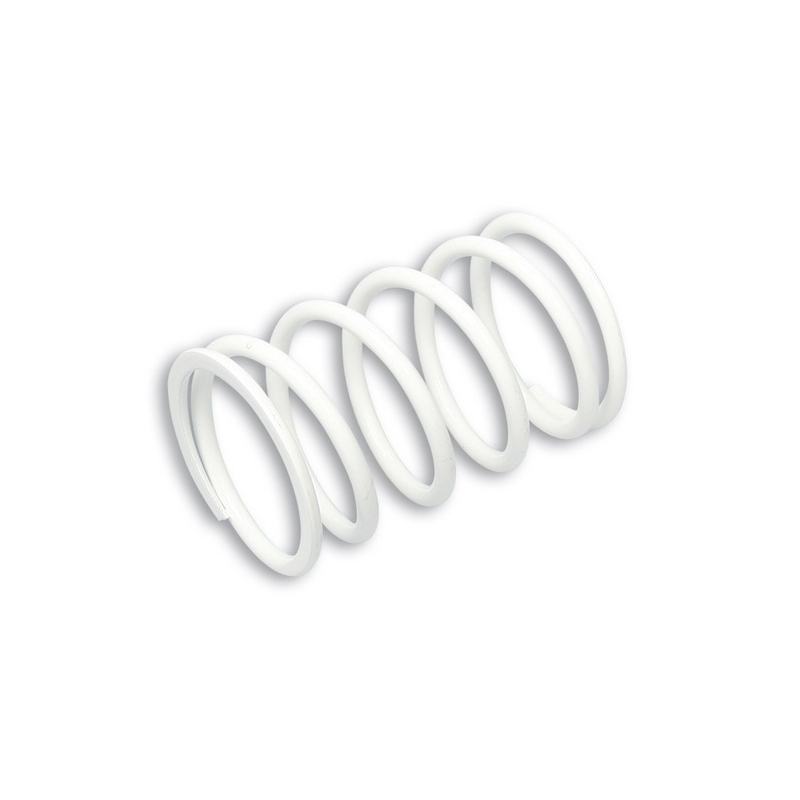 Muelle variador MALOSSI ø exterior 60x95 mm - ø alambre 5 mm - K 10 - motoscamaralweb.com