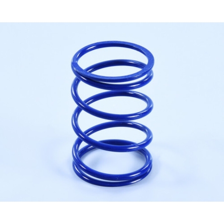 Muelle de contraste POLINI - motoscamaralweb.com