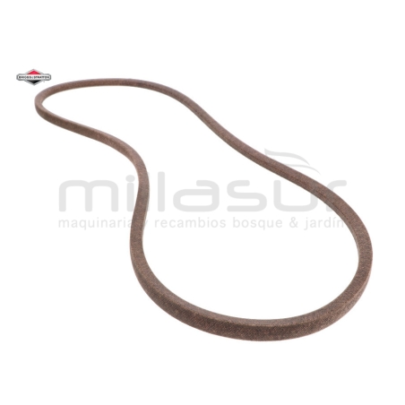 CORREA - motoscamaralweb.com