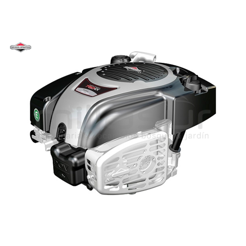 MOTOR B&amp;S 750 SERIES DOV (22.2 x 80) reemplaza a 1006020177H5YY7001 - motoscamaralweb.com