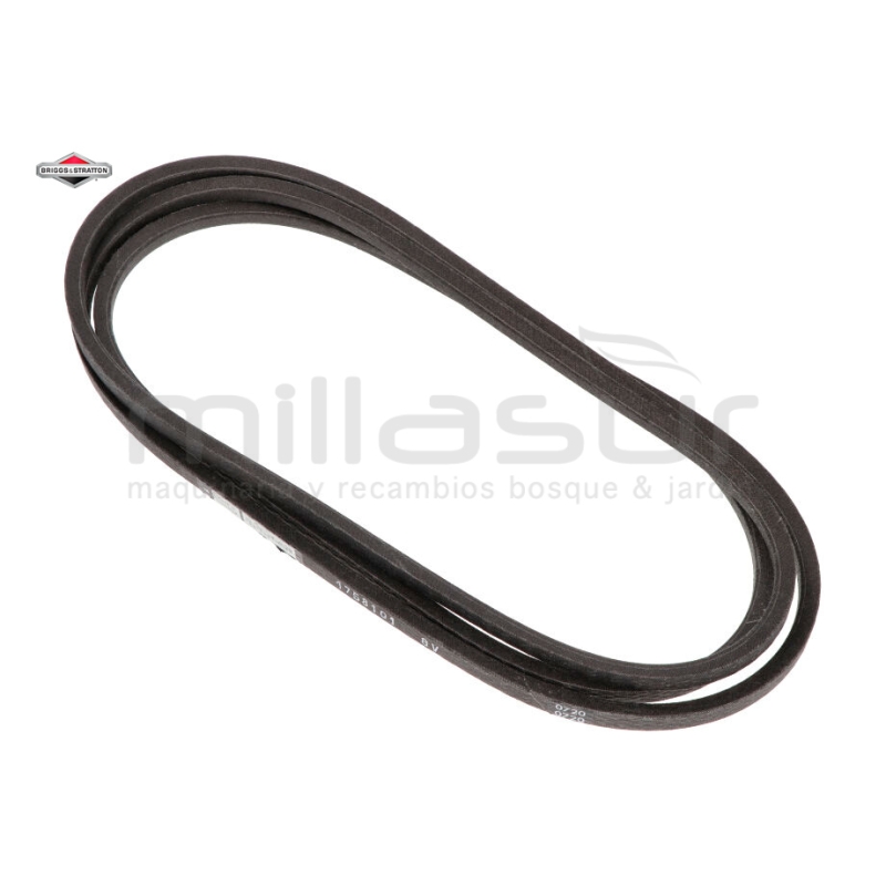 CORREA - motoscamaralweb.com