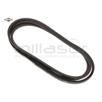 CORREA - motoscamaralweb.com