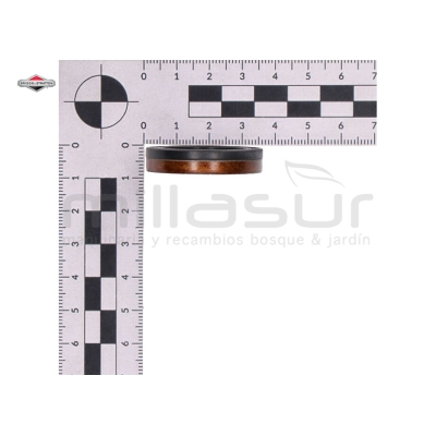 RETÉN DE CIGÜEÑAL - motoscamaralweb.com