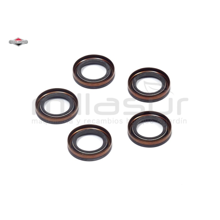 PACK 5 X 391483S RETÉN CIGÜEÑAL - motoscamaralweb.com