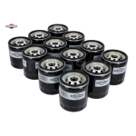 PACK 12 X 491056 FILTRO DE ACEITE - motoscamaralweb.com