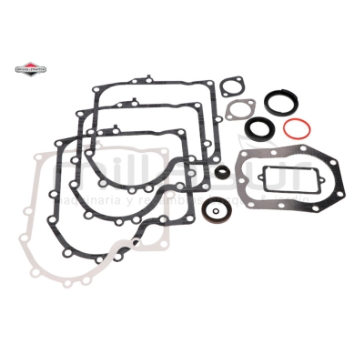 JUEGO DE JUNTAS MOTOR - motoscamaralweb.com