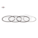 JUEGO AROS - motoscamaralweb.com