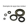 Kit de retenes de motor CENTAURO - motoscamaralweb.com