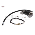 BOBINA DE ENCENDIDO - motoscamaralweb.com