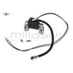 BOBINA DE ENCENDIDO - motoscamaralweb.com