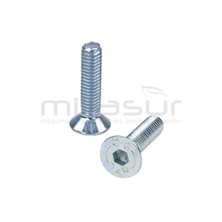 TORNILLO APRIETE LATERAL (55-1173) - motoscamaralweb.com