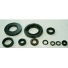 Kit Tourmax retenes de aceite para motor XT/SR500 76-95 - motoscamaralweb.com