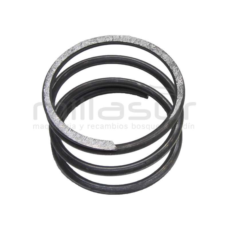 MUELLE CABEZAL 55-119 (NEW) - motoscamaralweb.com