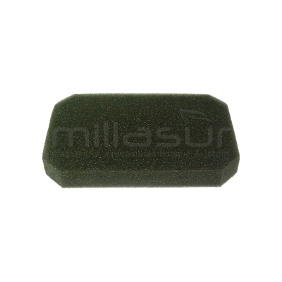 FILTRO ROBIN ESPUMA EX17 - motoscamaralweb.com