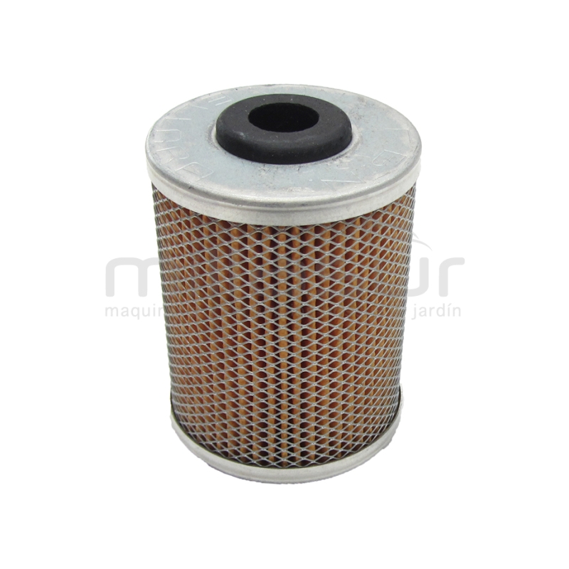 FILTRO GASOIL LOMBARDINI/RUGGERINI - motoscamaralweb.com