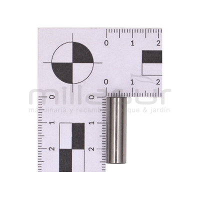 PISTÓN ROBIN EC025 (34mm) - motoscamaralweb.com